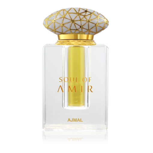 Soul of Amir
